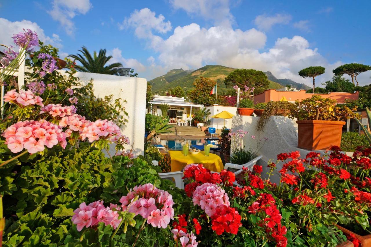 Hotel Villa Mena Forio di Ischia Eksteriør bilde